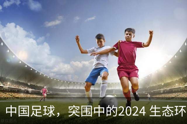 中国足球，突围中的2024 生态环境将实现好转