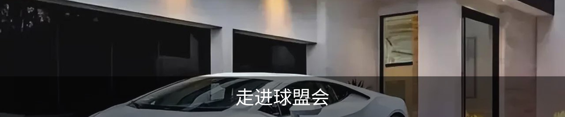 走进球盟会